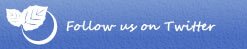 follow us on twitter